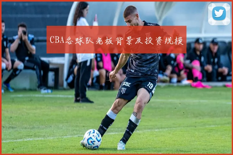 CBA各球队老板背景及投资规模