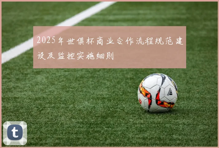 2025年世俱杯商业合作流程规范建设及监控实施细则