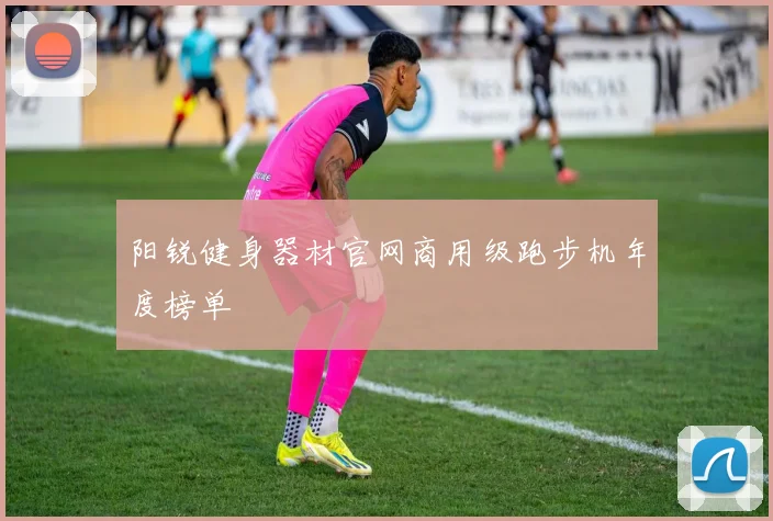 阳锐健身器材官网商用级跑步机年度榜单