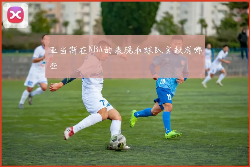 亚当斯在NBA的表现和球队贡献有哪些